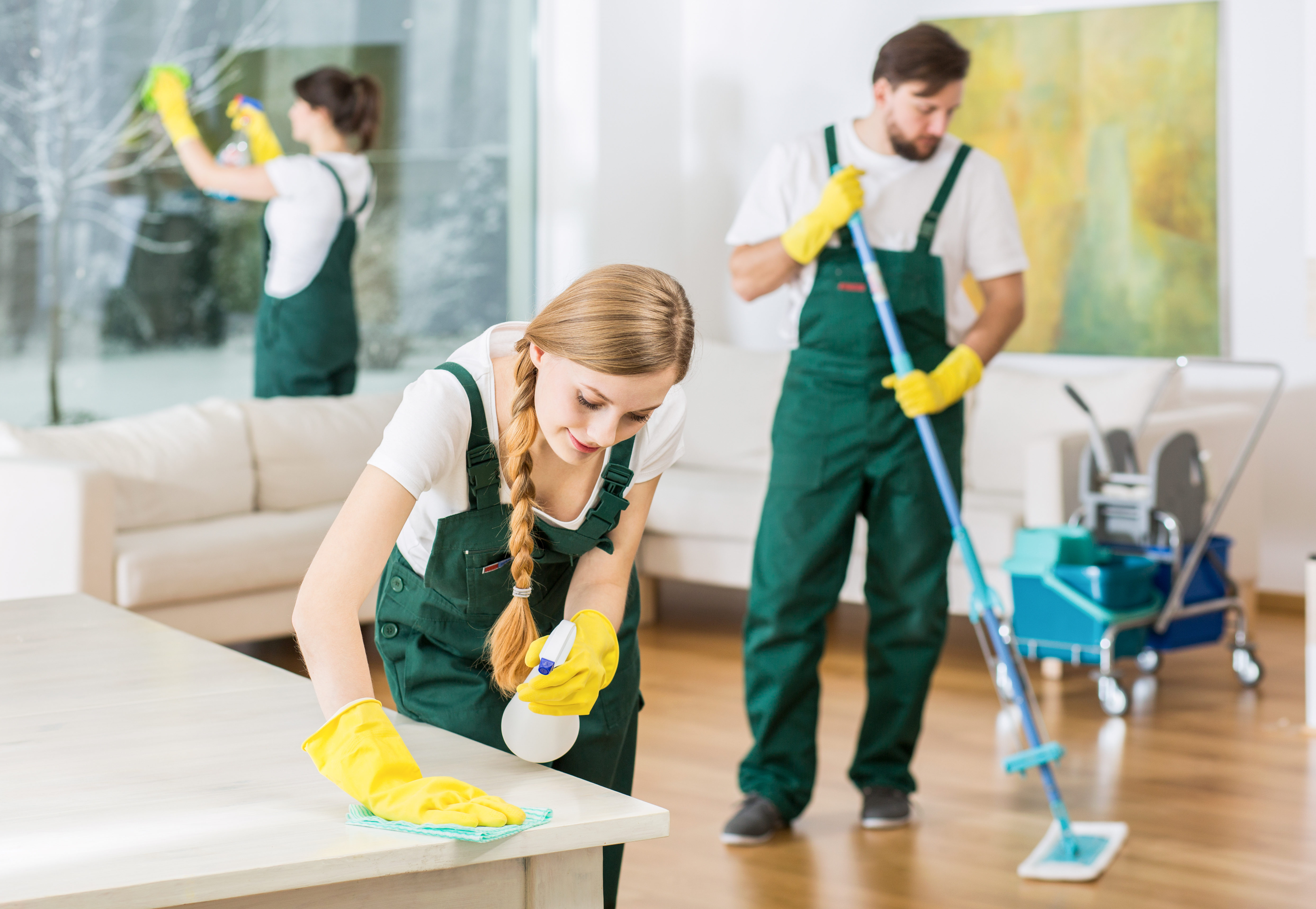 Cleaning Services