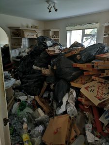 Hoarder clean Essex