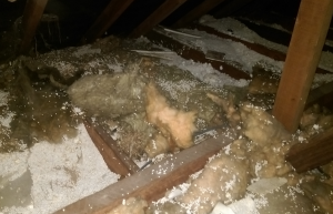 Attic cleaning