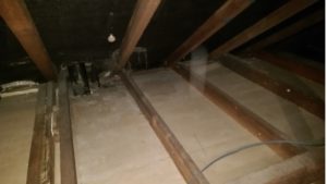 Attic Cleaning