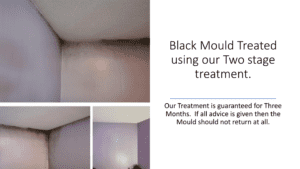 Black Mould Treatment