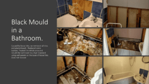 Black Mould Treatment